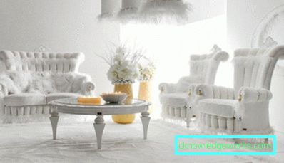 20-bijela dnevna soba - 95 opcija za fotografije
