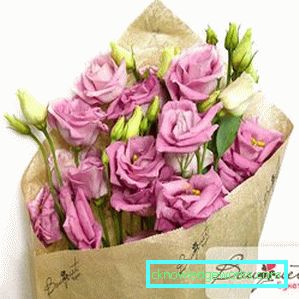 316-Eustoma višegodišnja