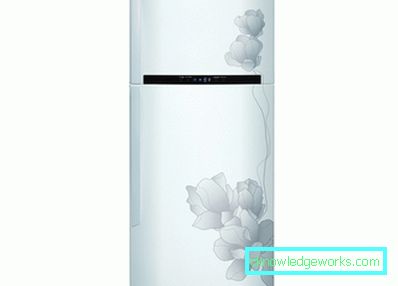 LG hladnjak bez sustava za zamrzavanje LG hladnjak bez sustava za zamrzavanje