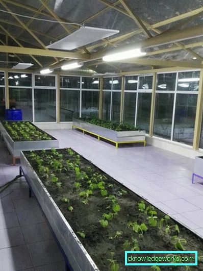 Vrste infracrvenih grijača za staklenike Vrste infracrvenih grijača za staklenike