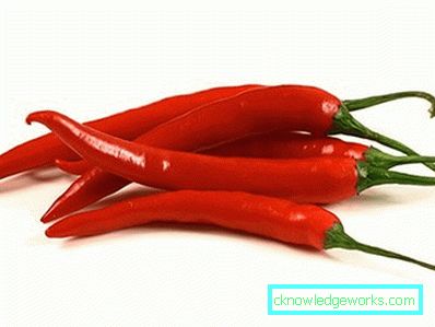 340-Kako rasti ljuta paprika