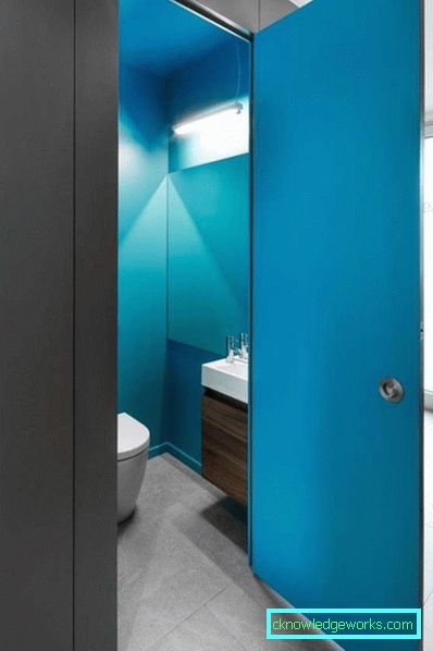 Koji je bolje odabrati vrata u kupaonicu i WC - 50 fotografija