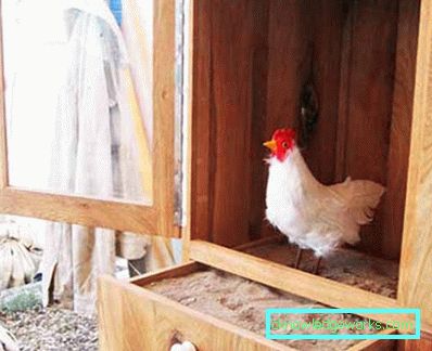 156-DIY Coop