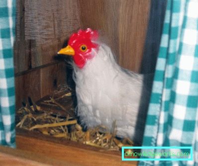 156-DIY Coop