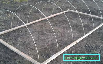 305-DIY za staklenike
