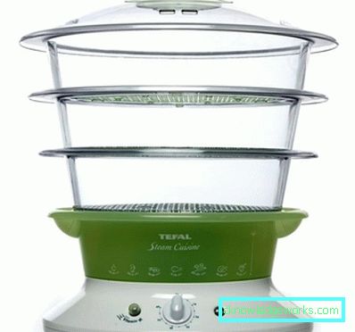 Parni Tefal i svi njegovi modeli Parni Tefal i svi njegovi modeli