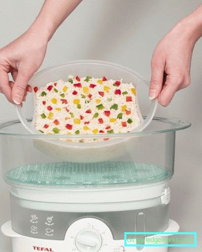 Parni Tefal i svi njegovi modeli Parni Tefal i svi njegovi modeli