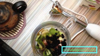 Redmond Immersion Blender Redmond Immersion Blender