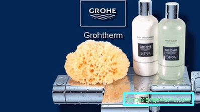 Grohe mikseri: za i protiv, savjeti o odabiru modela Grohe mikseri: za i protiv, savjeti o odabiru modela