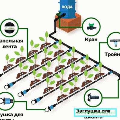 Staklenici: vrste, uređaji i oprema Staklenici: vrste, uređaji i oprema