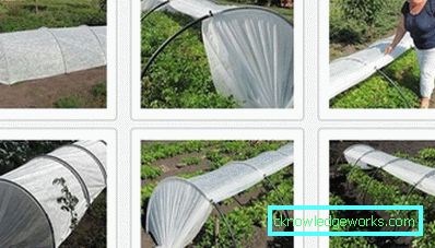 Kako odabrati pokrovni materijal za staklenike? Kako odabrati pokrovni materijal za staklenike?