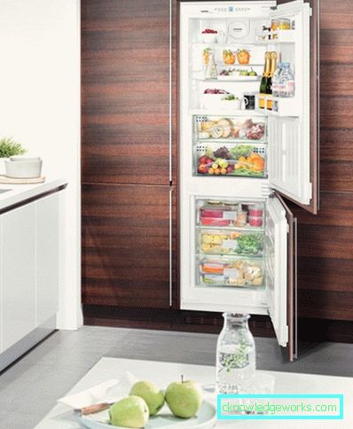 Ugrađeni Electrolux hladnjak Ugrađeni Electrolux hladnjak